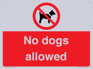 No dogs allowed